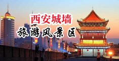 女子裸体啊啊啊的扣b中国陕西-西安城墙旅游风景区