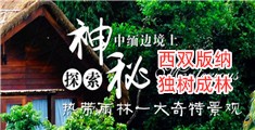 激情草久