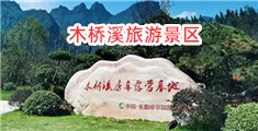 啊肏死我的骚逼……逼要烂了视频