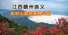 美女直播操及吧不卡